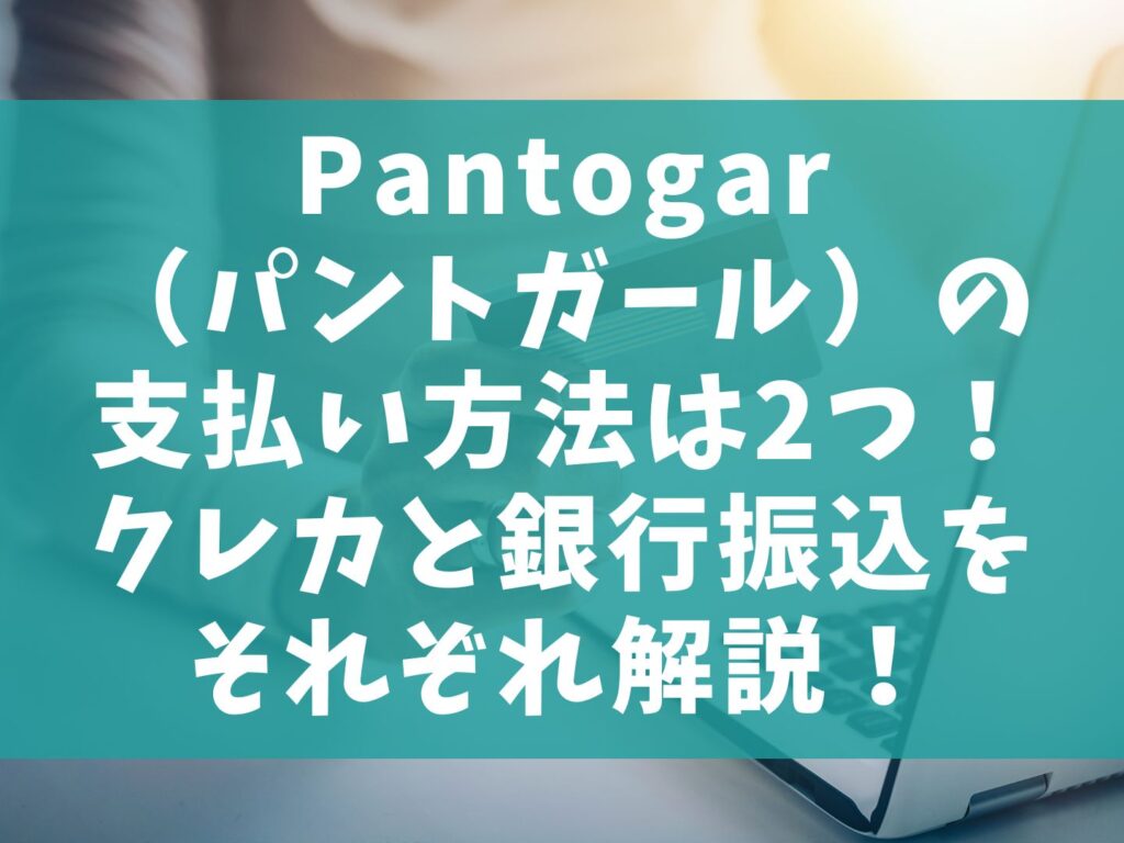 Pantogar（パントガール）の支払い方法は2つ！クレカと銀行振込をそれぞれ解説！